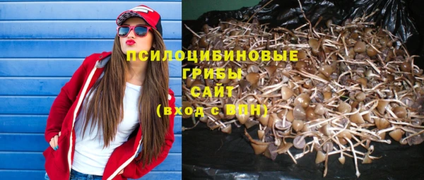 кокс Алзамай