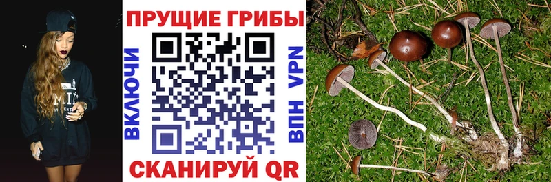 Галлюциногенные грибы мухоморы  Заволжск 
