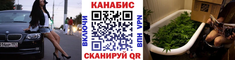 МАРИХУАНА SATIVA & INDICA  где купить наркоту  blacksprut сайт  Заволжск 